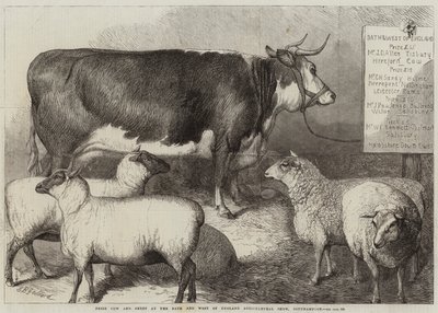 サウサンプトンのバースとイングランド西部農業ショーでの賞牛と羊 作： George Bouverie Goddard